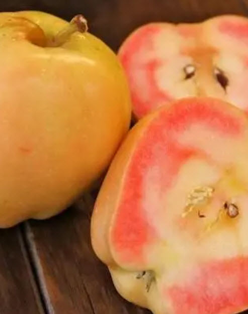 ОсновноеИзображение