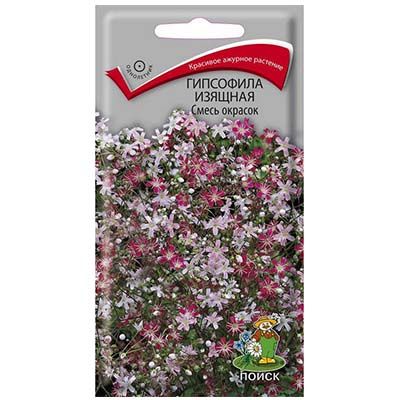 Основное изображение