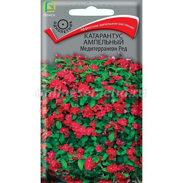 Семена Катарантус ампельный Медитерранеан Ред 10 шт  Поиск 