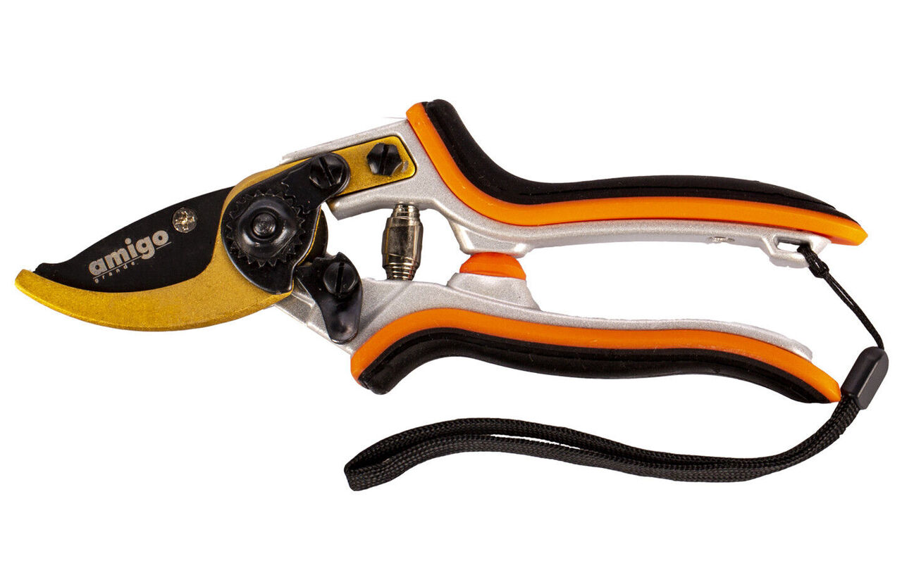 ОсновноеИзображение