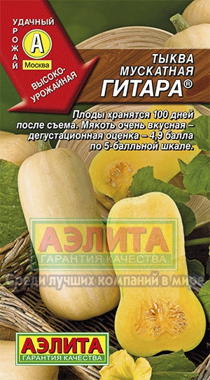 Семена тыква Гитара мускатная ц/п 1г Аэлита 