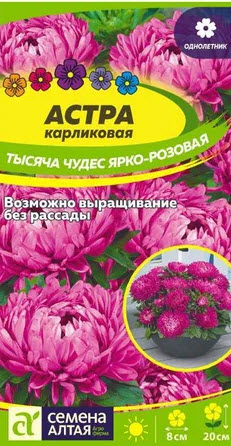 Семена Астра Тысяча чудес смесь карликовая 0,15 гр.Семена     Алтая 
