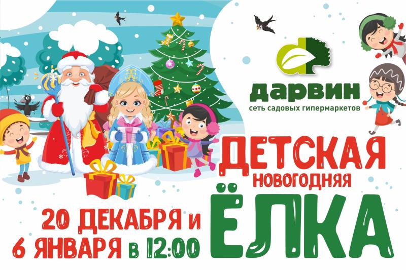 Встречаем Новый год в "Дарвин"!