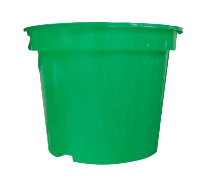 ОсновноеИзображение