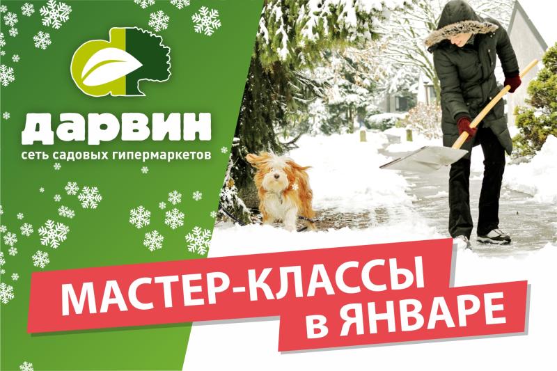 Мастер-классы на январь