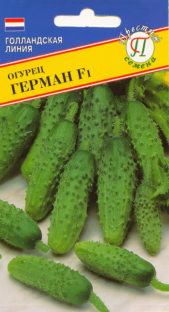 ОсновноеИзображение