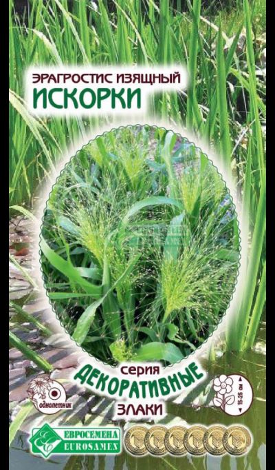 ОсновноеИзображение