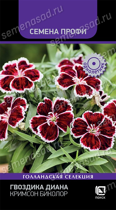 Семена Гвоздика Диана Кримсон Биколор 10 шт Поиск 