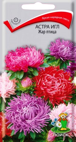 Семена астра Гигантские лучи смесь окрасок 0,3г Поиск 
