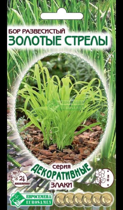 ОсновноеИзображение