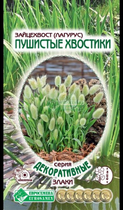 ОсновноеИзображение