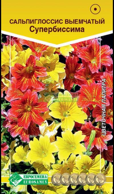 ОсновноеИзображение