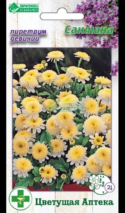 ОсновноеИзображение