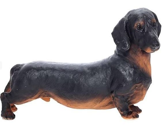 Фигура Собака БАРЕЛЬЕФ Такса стоит полистоун h-24см w-6см L-36см по цене 