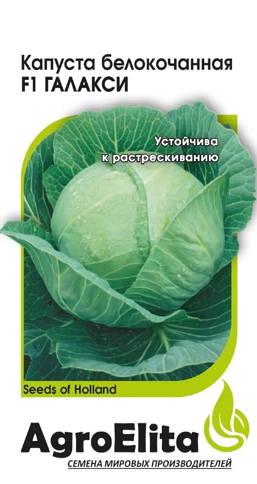 Семена Капуста белокоч. Галакси F1 10 шт., Гавриш 