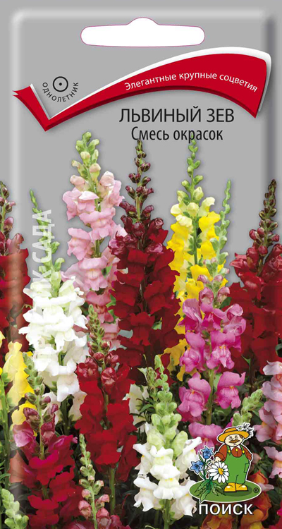 Семена Львиный зев Смесь окрасок,0,3г Поиск 