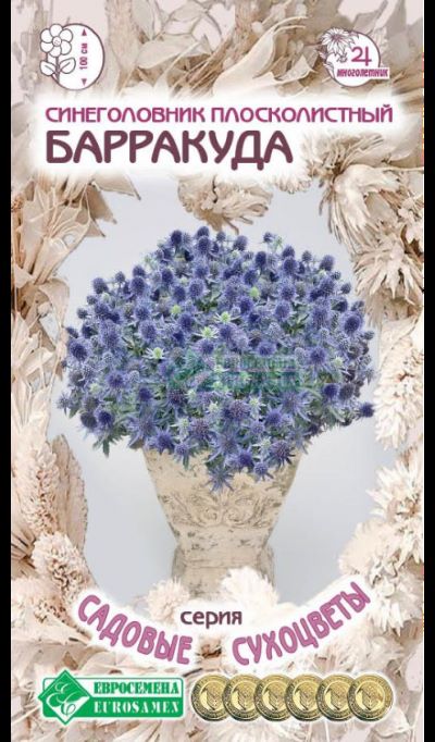 ОсновноеИзображение