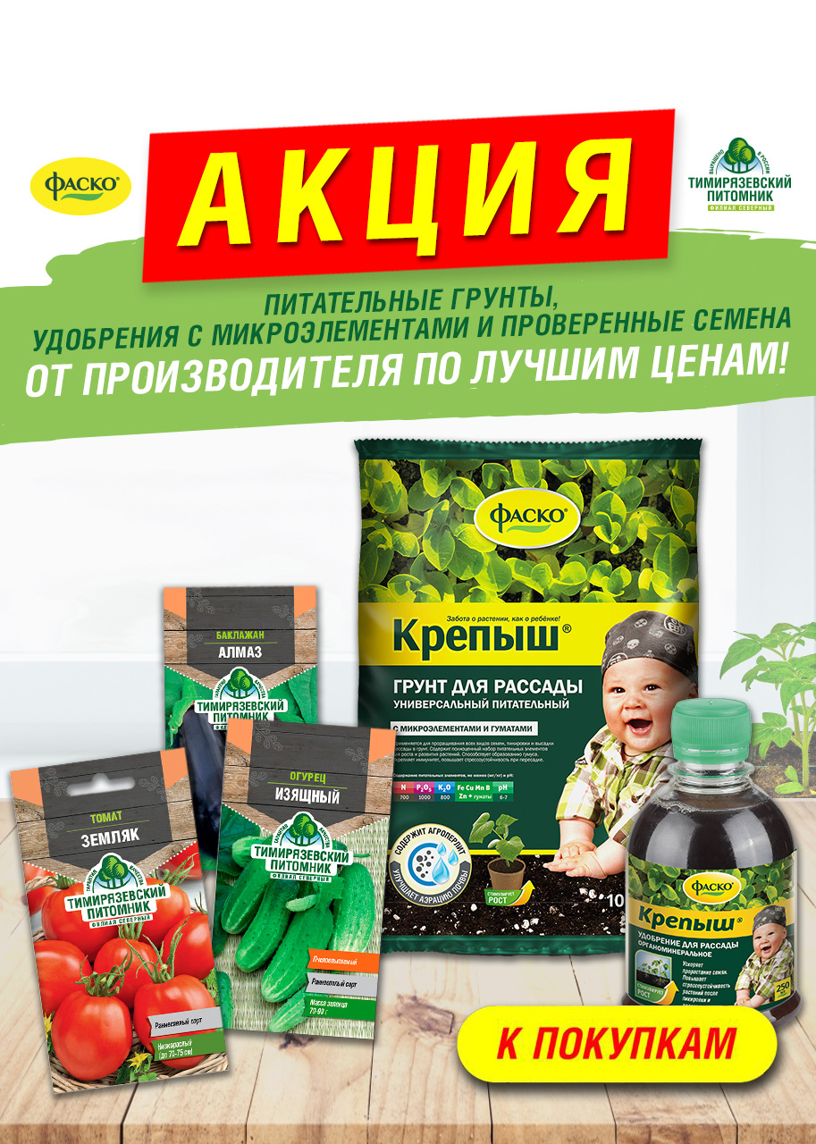 Выращиваем рассаду со скидками до 74%