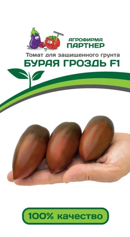 Семена Томат Бурая Гроздь F1 10 шт. Партнер 