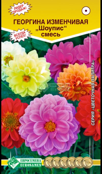 Семена Георгина Махровая Шоупис смесь 0.1гр Евросемена 