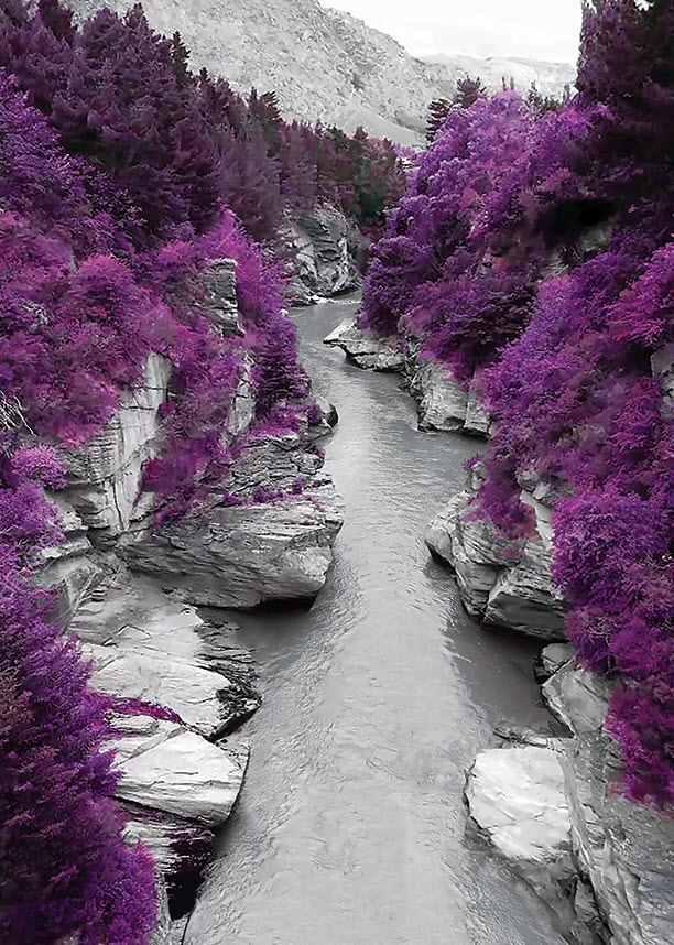 Картина - репродукция Цветущая долина 50х70см арт.8Л4009 по цене 