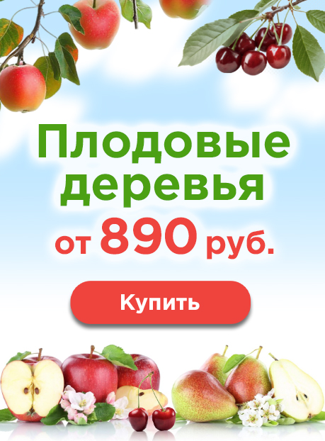 Плодовые деревья