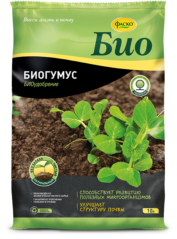 Основное изображение