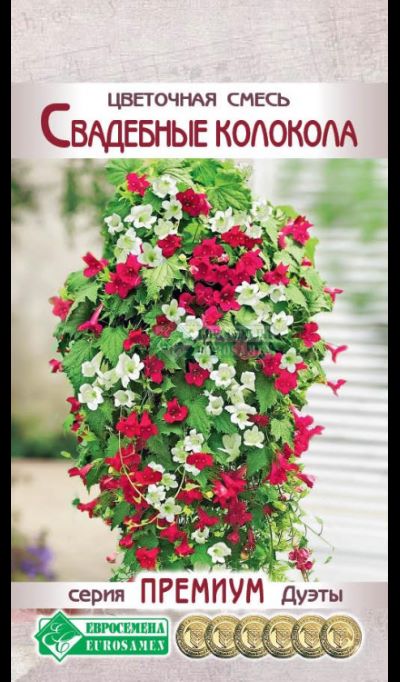 ОсновноеИзображение