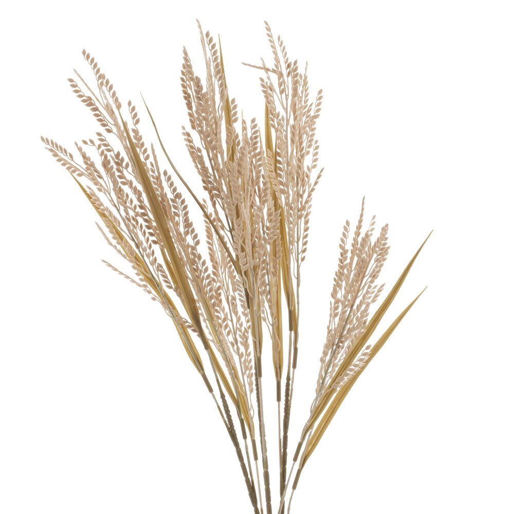 ОсновноеИзображение