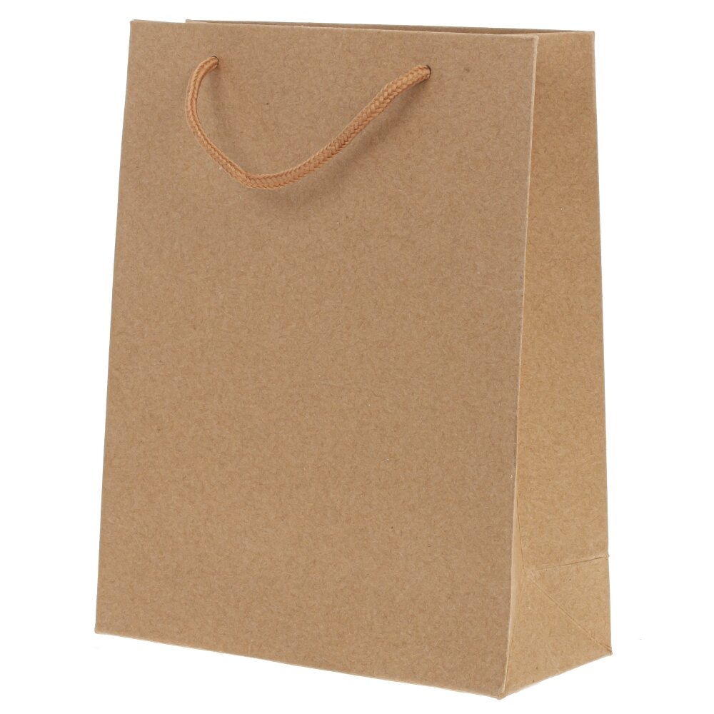 Пакет подарочный в ассортименте 19х8х24см, 23х10х18см арт.795274 по цене 