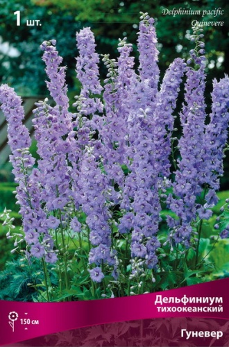 Кореневище Дельфиниум тихоокеанский Гуневер 1шт Поиск 