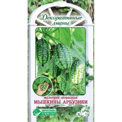 ОсновноеИзображение