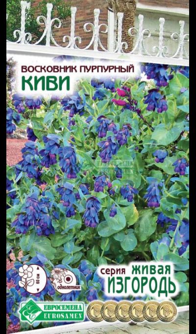 ОсновноеИзображение