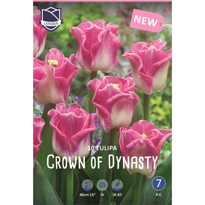 Луковица Тюльпан Краун оф Династи 12/14, 10 шт/уп 