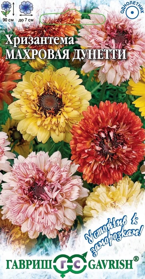 Семена Хризантема Дунетти махровая 0,5 г. серия Гавриш 