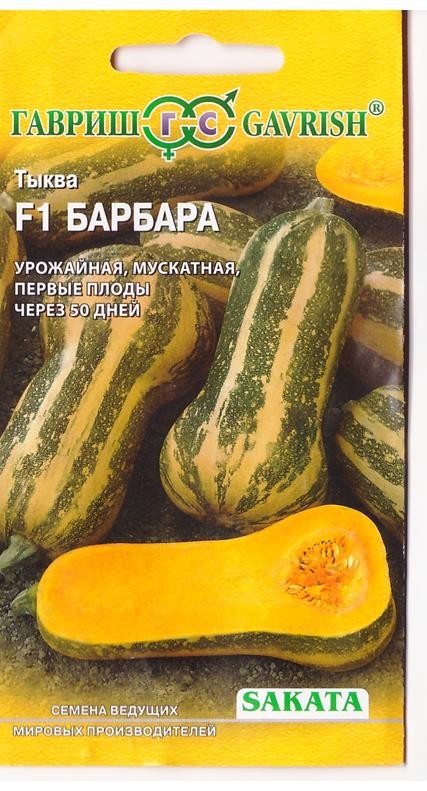 Семена Тыква Барбара F1, мускатная 5 шт Гавриш 