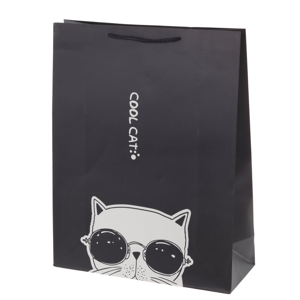 Пакет подарочный Коты в ассортименте 18х8,5х24см арт.758210 по цене 