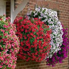 Сурфиния 3,7Л - d23 ХН 