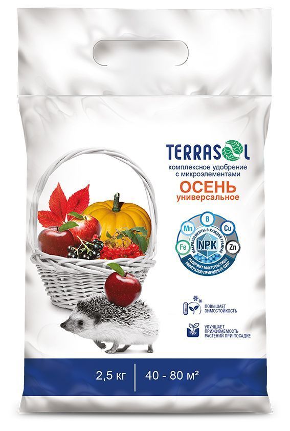 Основное изображение