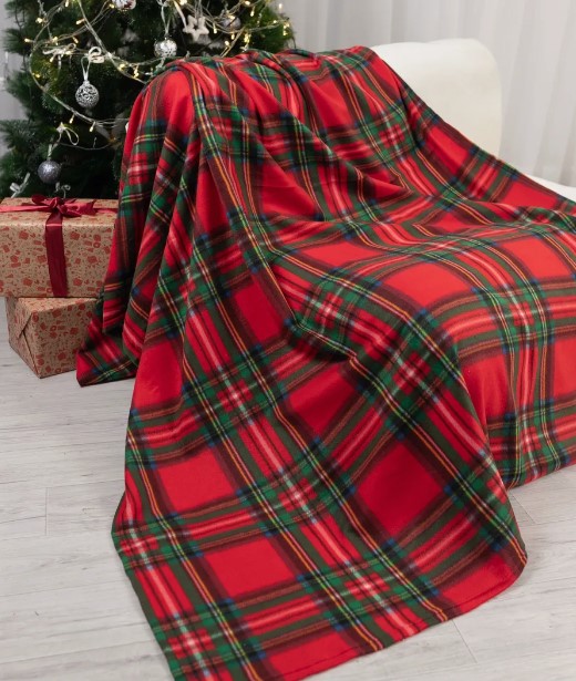 Плед флисовый Веллнесс Антипилинг 200х220см, полиэстер арт.WPA222-Алтай по цене 