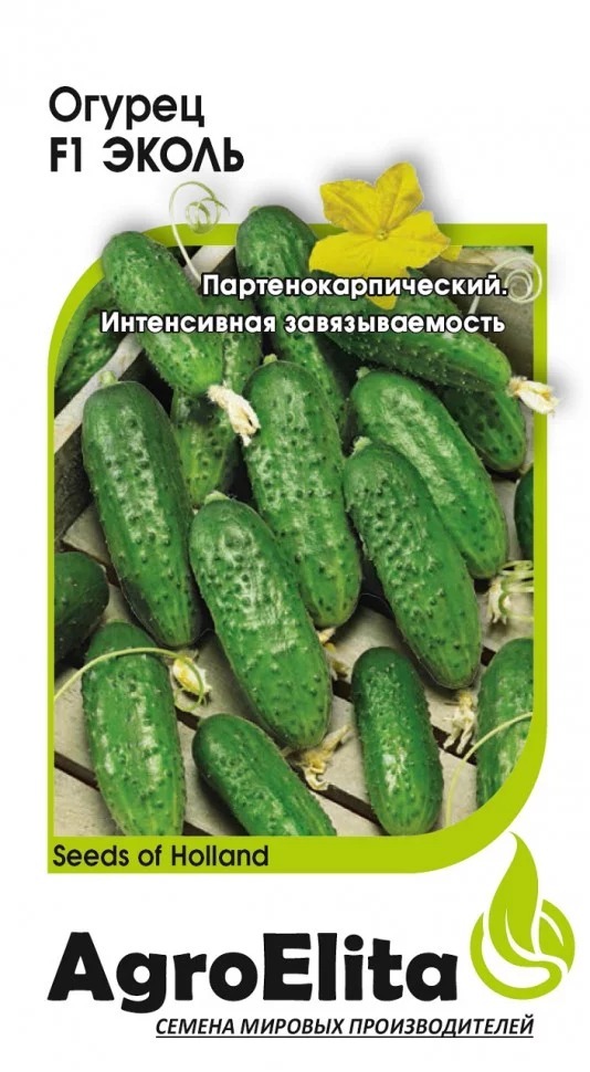 Семена Огурец партенокарпический Эколь F1 5 шт. Гавриш 