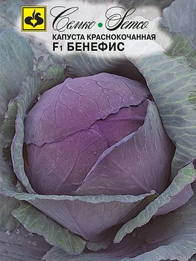 Семена Капуста краснокачанная Бенефис F1 0,2 г Семко 