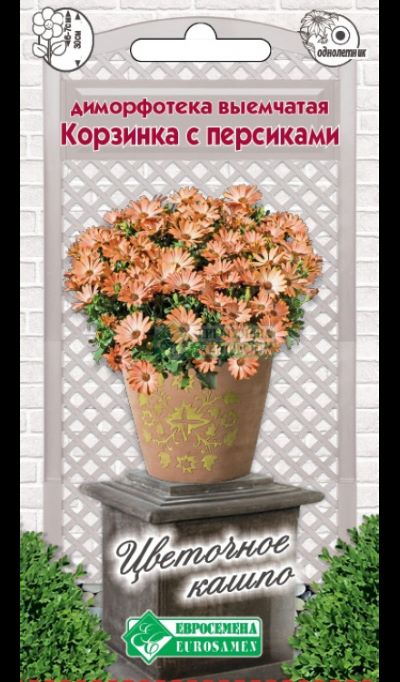 ОсновноеИзображение