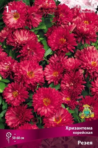 Корневище Хризантема корейская Резея I 1шт Поиск 