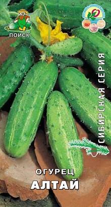 Семена Огурец пчёлоопыляемый Алтай 15шт Поиск 