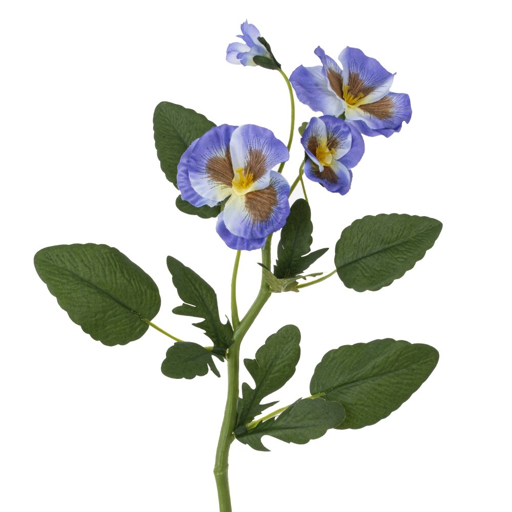 ОсновноеИзображение