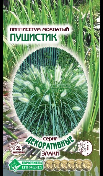 ОсновноеИзображение