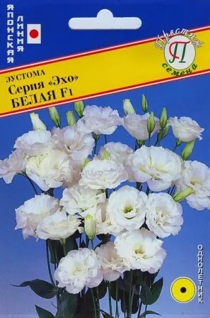 Семена Эустома Эхо Белая F1  1гр Престиж 