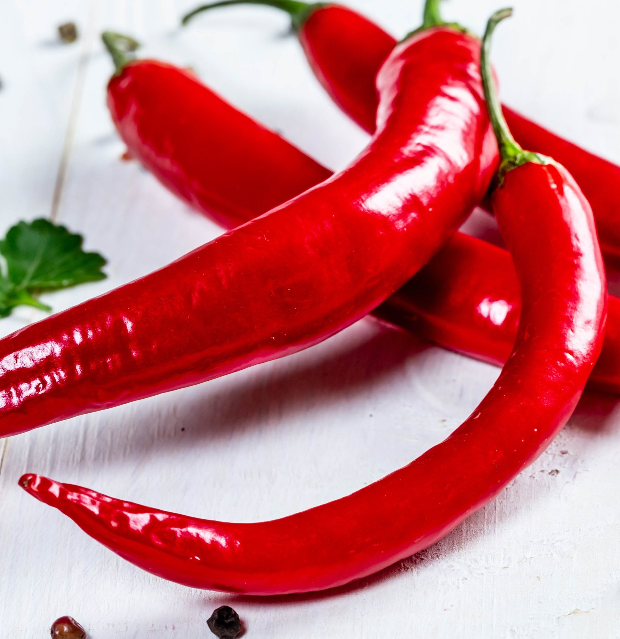 Рассада Перец острый Огнемет d11 Tim по цене  Рассада Перец острый Огнемет d11 Tim