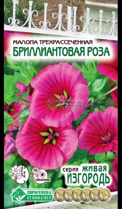 ОсновноеИзображение